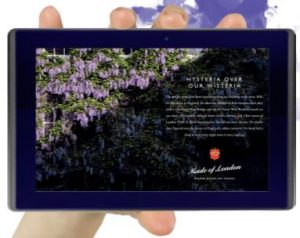 story-of-shared-experience